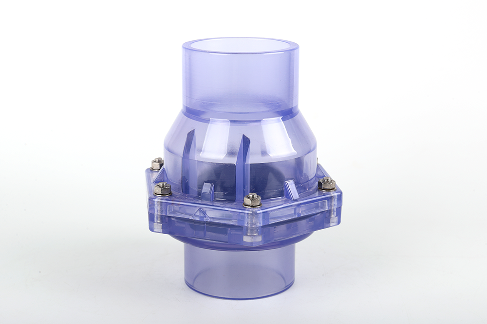 轵城镇透明翻板式止回阀